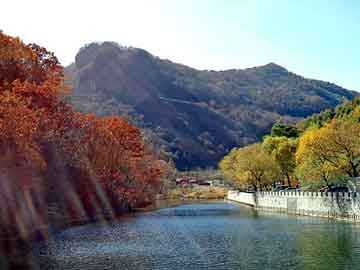 新澳天天开奖资料大全旅游团，汽车隔热棉